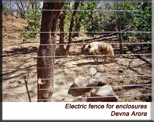 Devna Arora - Use of electric fence